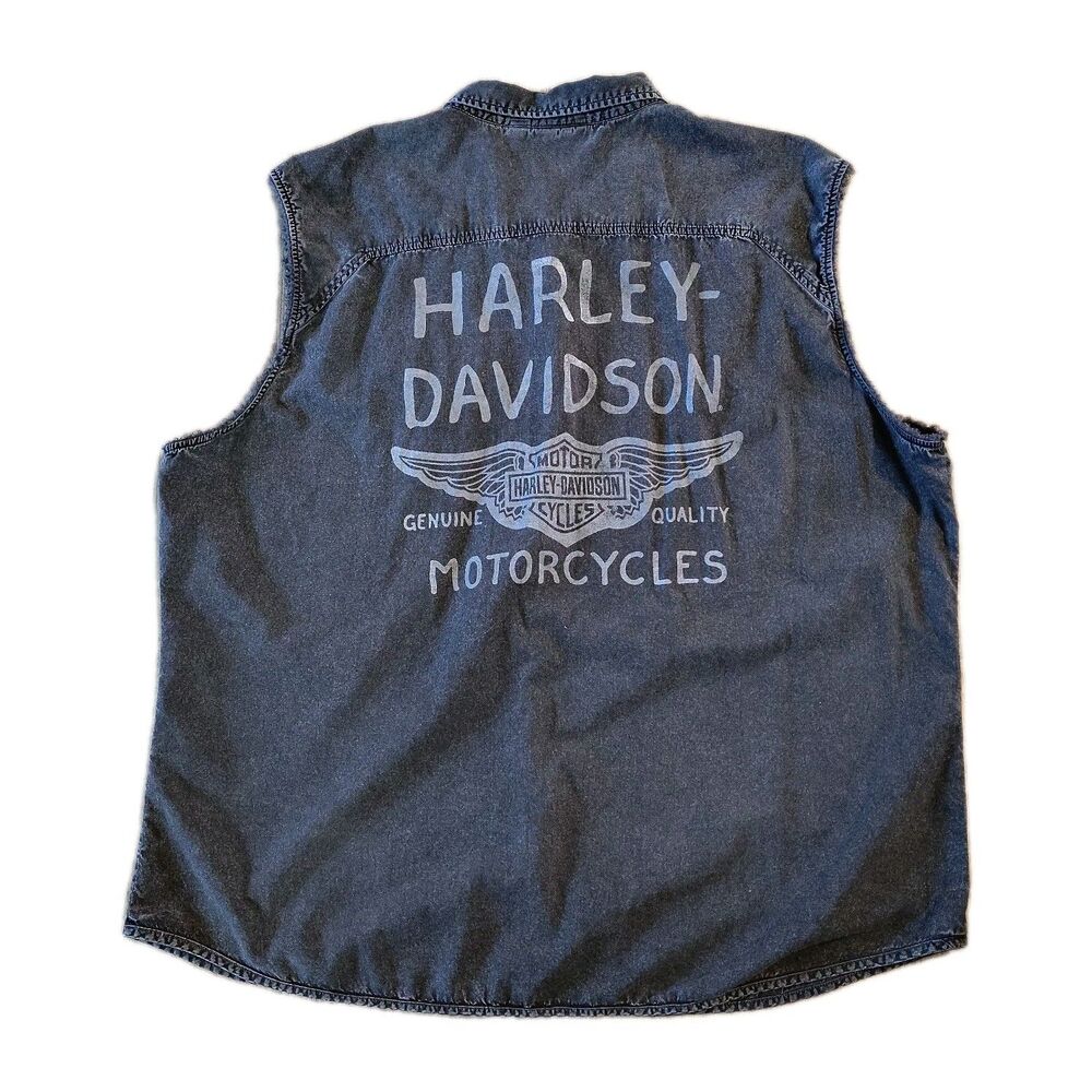 Harley-Davidson Motorcycle Shirt Men's 4XL Winged Sleeveless Gray Distressed